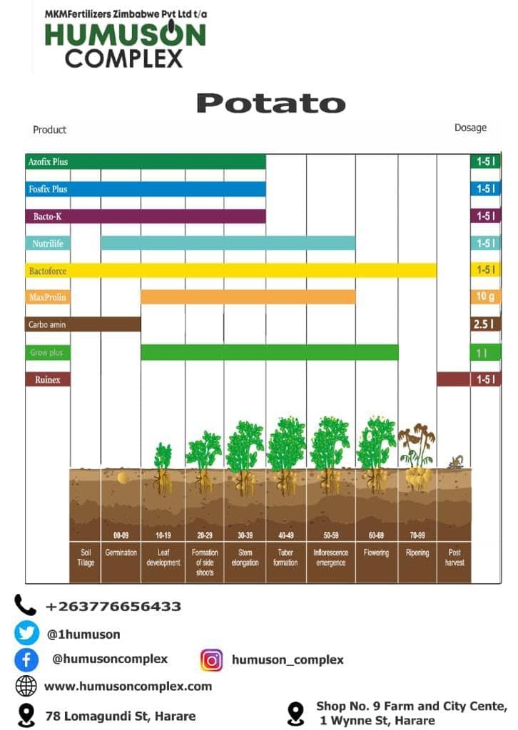 Potatoes