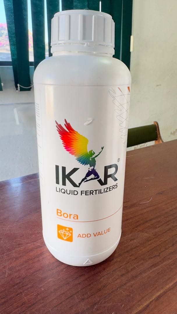 Bora pack