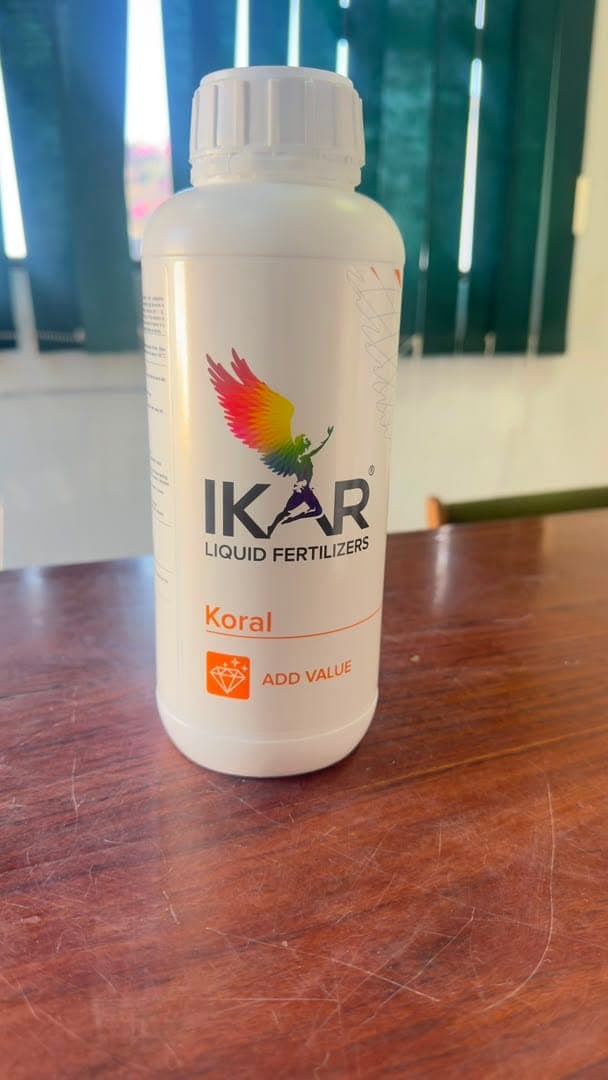 Koral pack